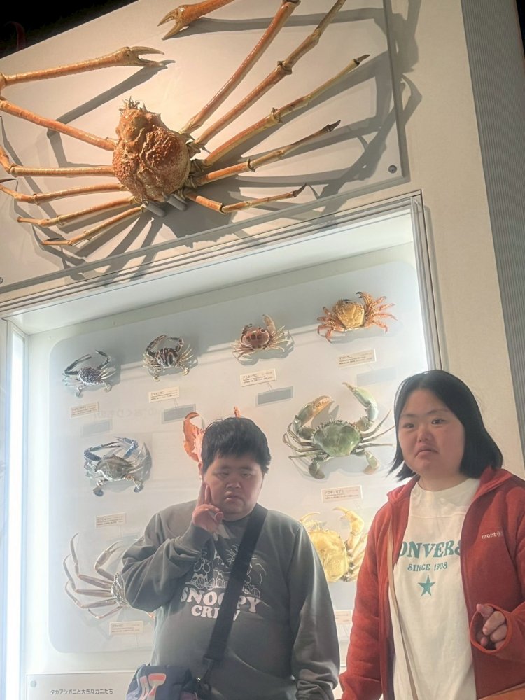 20251030135909.jpg 20251030135909.jpg