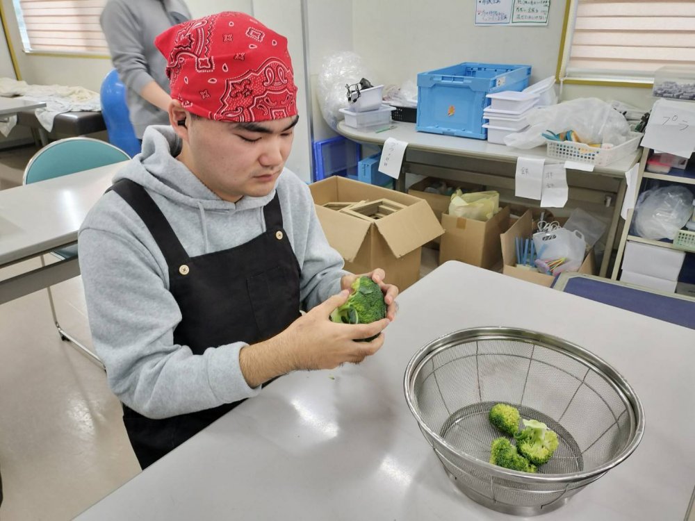 20251212165017.jpg 20251212165017.jpg